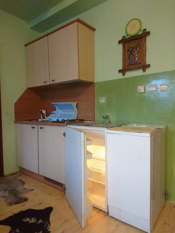 Apartment Vila Jezero Zlatibor Extérieur photo